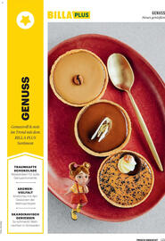 Billa Flugblatt Seite 121