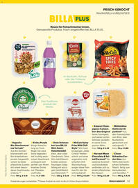 Billa Flugblatt Seite 13