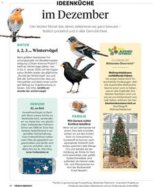 Billa Flugblatt Seite 16