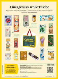 Billa Flugblatt Seite 171