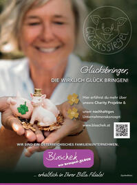 Billa Flugblatt Seite 175