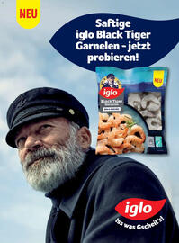 Billa Flugblatt Seite 80