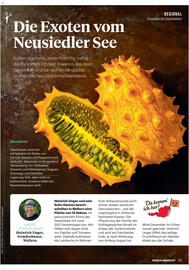 Billa Flugblatt Seite 91