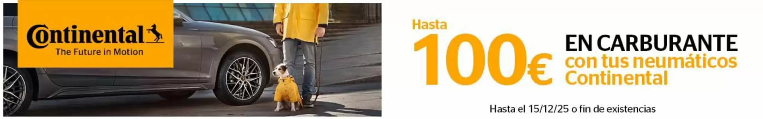 Folleto Rodi (válido hasta el 15-12)