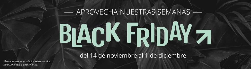 Catálogo Verdecora Página 1