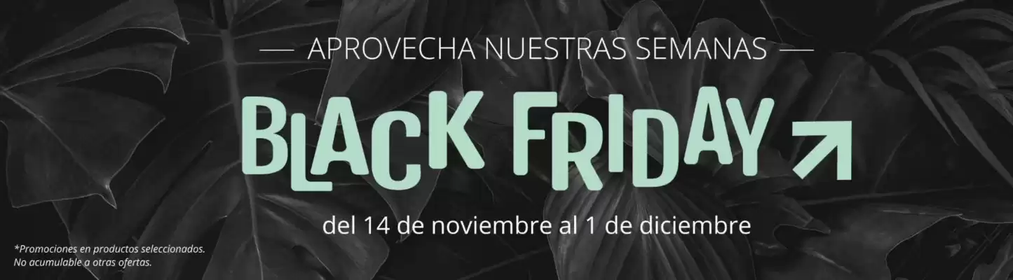 Catálogo Verdecora (válido hasta el 1-12)