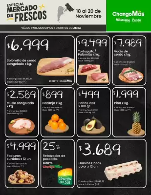 Catálogo Changomas (válido hasta 20-11)