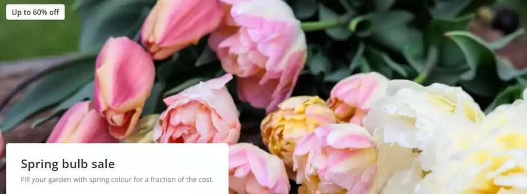 Crocus leaflet (valid until 1-12)