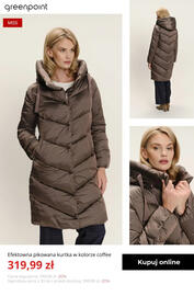 Greenpoint gazetka tydzień 47 Strona 13