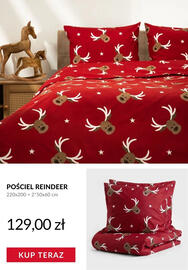 Homla gazetka Strona 12