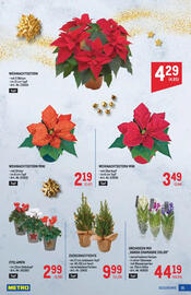 Metro Flugblatt Seite 15