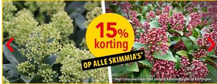 Pelckmans folder Pagina 1