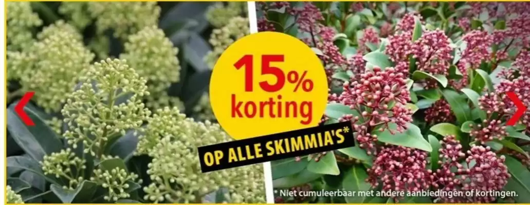 Pelckmans folder (geldig t/m 1-12)