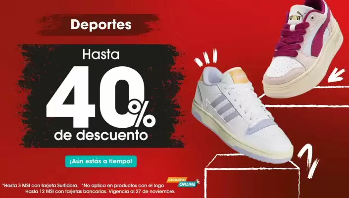 Catálogo Surtidora Departamental (válido hasta 27-11)