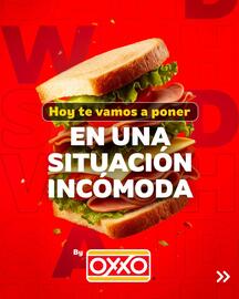 Catálogo Oxxo semana 47 Página 3