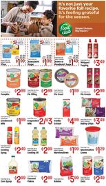 Ace Hardware flyer Page 10