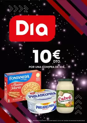 Folleto Dia (válido hasta el 30-11)