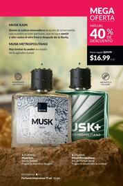 Catálogo AVON Página 100