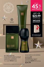 Catálogo AVON Página 22