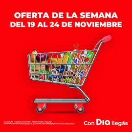 Folleto Supermercados DIA semana 47 Página 1