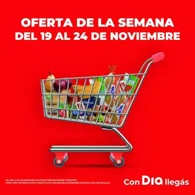 Folleto Supermercados DIA (válido hasta 24-11)