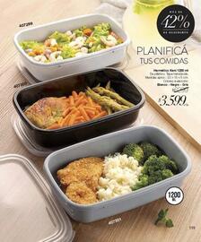 Catálogo Violetta Fabiani Página 119