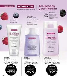 Catálogo Violetta Fabiani Página 56