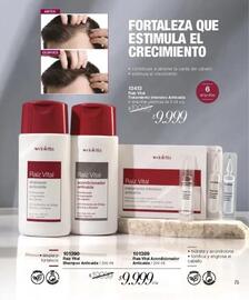 Catálogo Violetta Fabiani Página 75