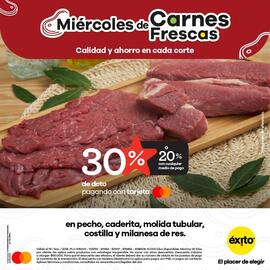 Catálogo Éxito Página 1