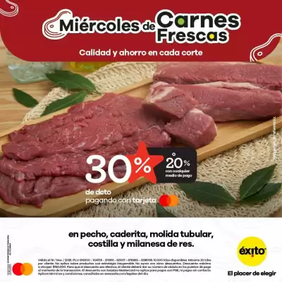 Catálogo Éxito (válido hasta 19-11)