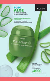 Folleto Gigot Página 13