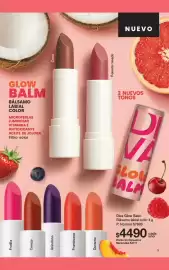 Folleto Gigot Página 11