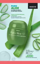 Folleto Gigot Página 13