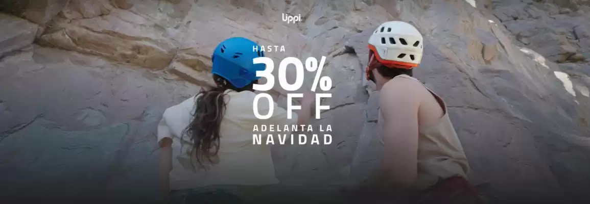 Catálogo Lippi (válido hasta 25-12)