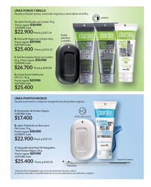 Catálogo Avon Página 116