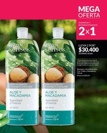 Catálogo Avon Página 176