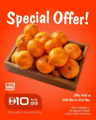 Bigmart leaflet (valid until 23-11)