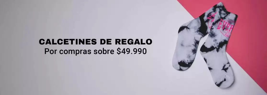 Catálogo Everlast (válido hasta 25-11)