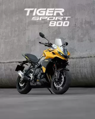 Catálogo Triumph (válido até 30-11)