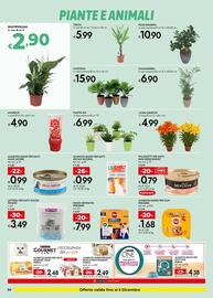 Volantino Bennet Pagina 24