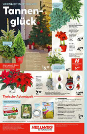 Hellweg Prospekt woche 47 Seite 16