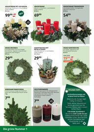 Bellaflora Flugblatt Seite 2