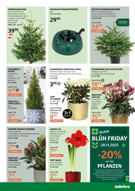 Bellaflora Flugblatt Seite 7