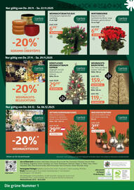 Bellaflora Flugblatt Seite 8