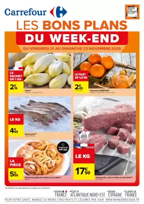 Catalogue Carrefour (valable jusqu'au 23-11)
