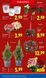 Volantino Lidl settimana 48 Pagina 29