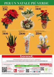 Volantino Bennet Pagina 44