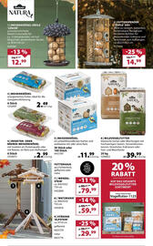 Dehner Prospekt woche 47 Seite 12