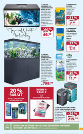 Dehner Prospekt woche 47 Seite 13