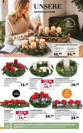 Dehner Prospekt woche 47 Seite 2